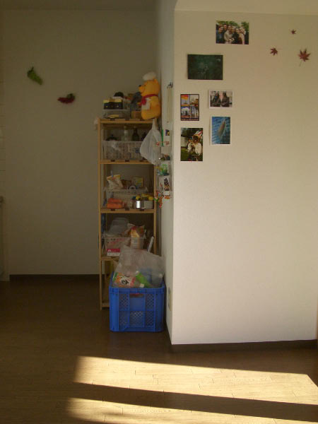 CIMG2765
