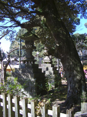 CIMG4145